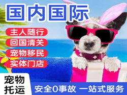 锦州机场物流国际宠物托运 【国